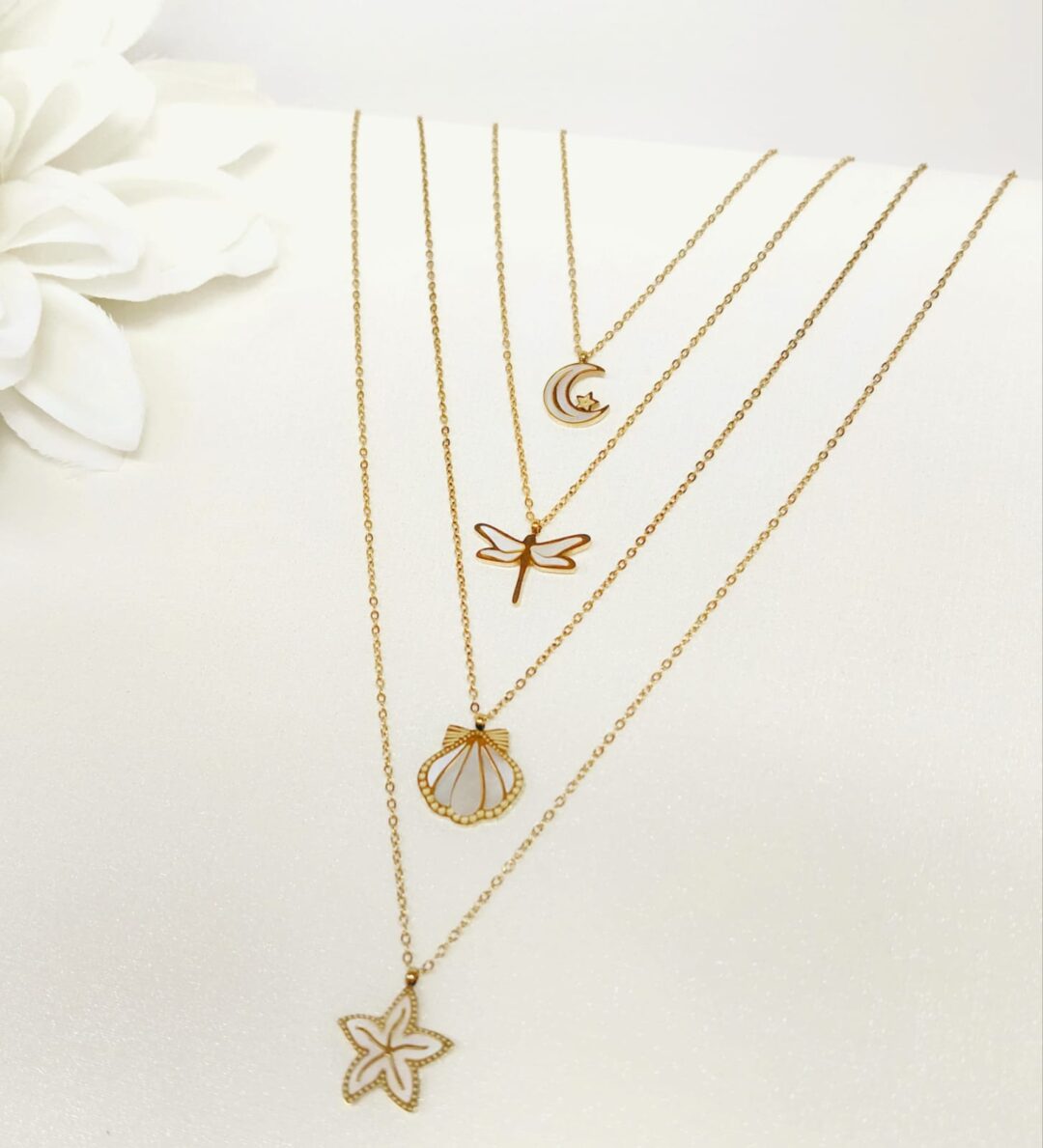 Collar NACAR - Imagen 2