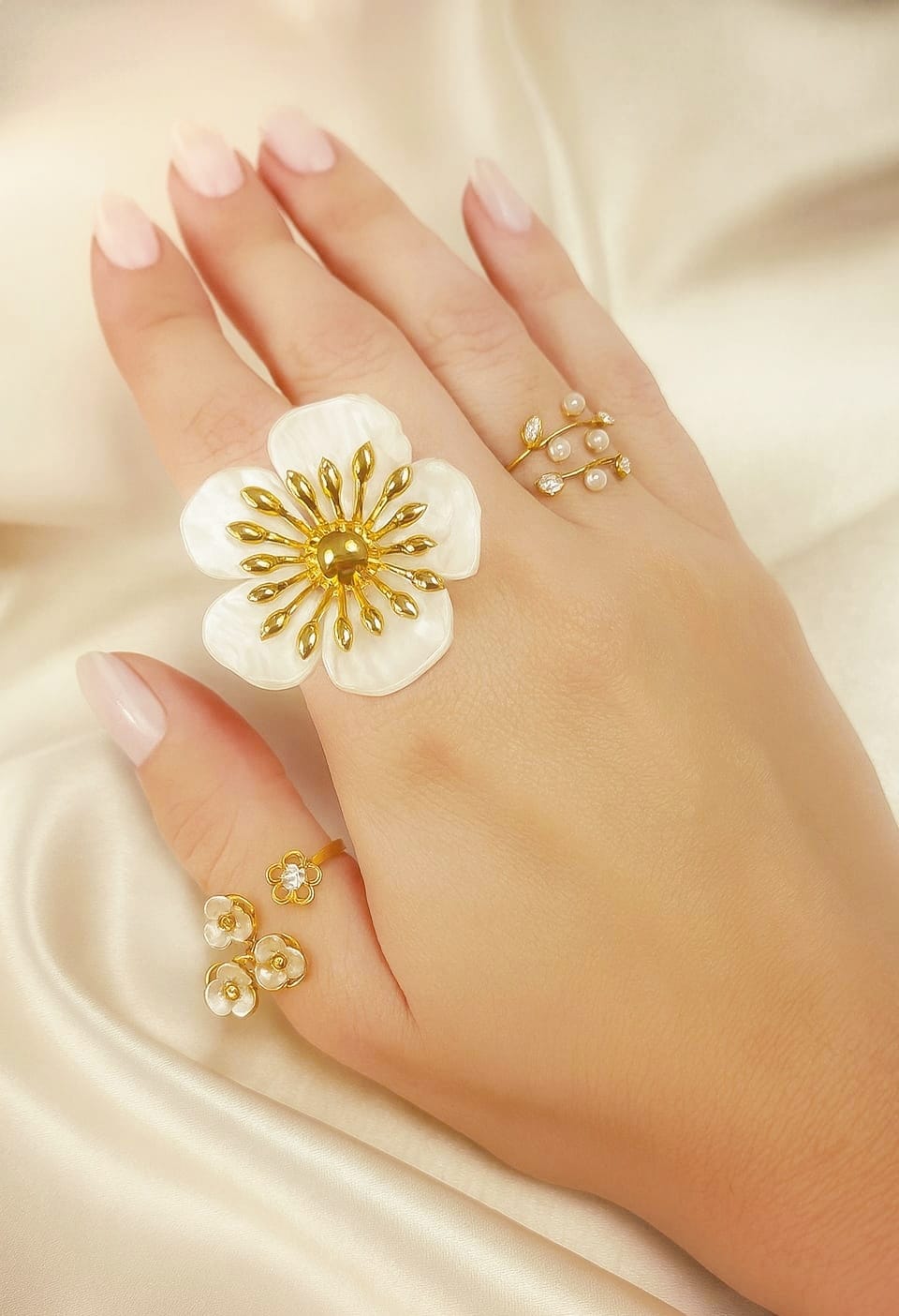 Anillo NACAR