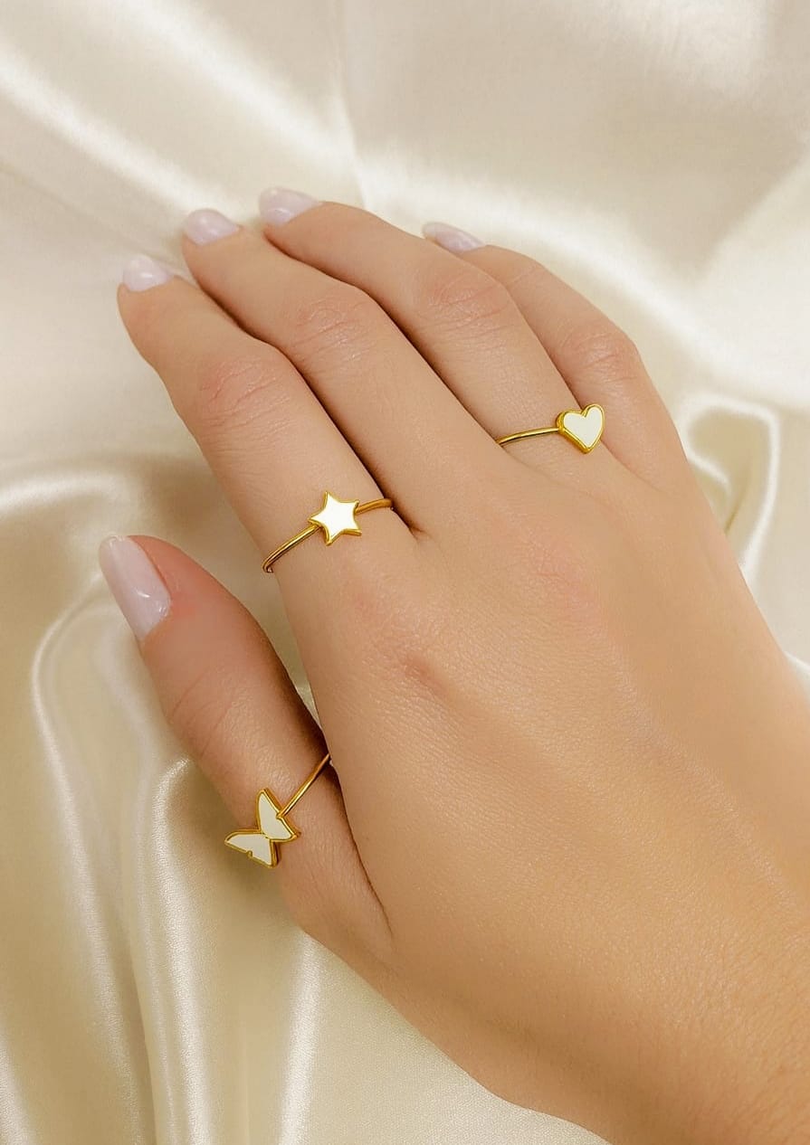 Anillo NACAR